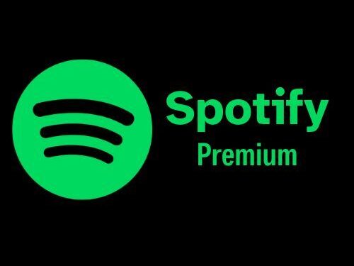 Carte cadeau Netflix 100 USD