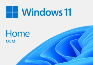 Microsoft Windows 11 Home OEM